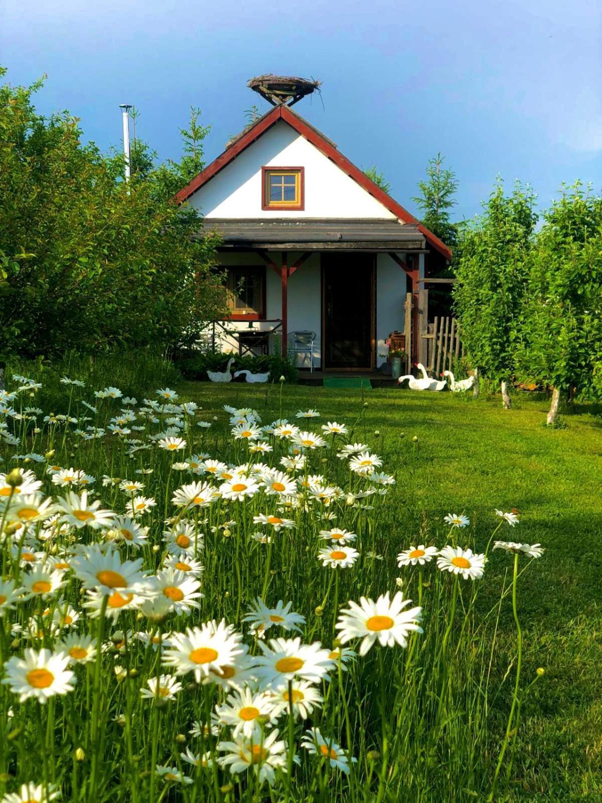 Holiday home Przy Azylu Bocianim